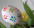/album/fotogaleria/images-3-jpg/